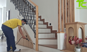 Diệt mối tận gốc phường Bình Đông – TpHCM