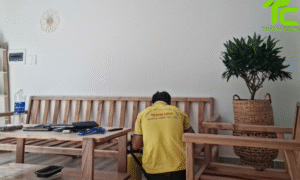 Dịch vụ diệt mối phường Minh Phụng – TP.HCM