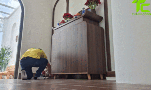 Dịch vụ diệt mối phường Đông Hưng Thuận – TpHCM