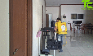 Dịch vụ diệt mối phường Tân Mỹ – TpHCM