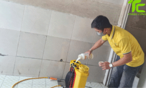 Dịch vụ diệt mối phường Minh Phụng – TP.HCM