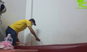 Dịch vụ diệt mối phường Chợ Lớn