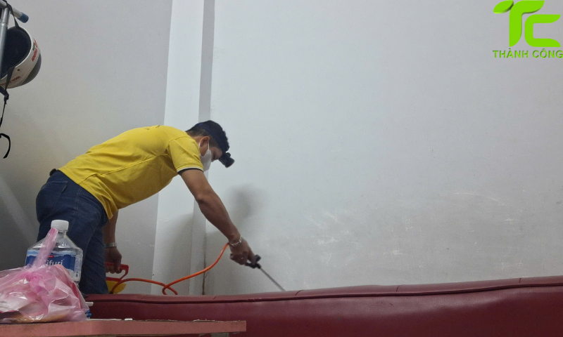 Dịch vụ diệt mối phường Chợ Lớn