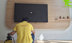 Dịch vụ diệt mối phường Vườn Lài – TpHCM