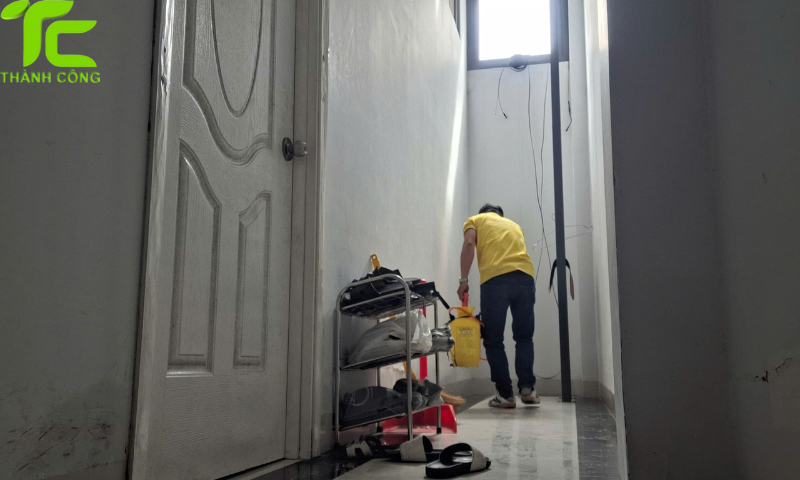 Dịch vụ diệt mối phường Trung Mỹ Tây – TpHCM