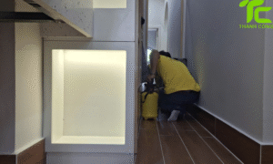 Dịch vụ diệt mối phường Đức Nhuận – TpHCM