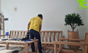 Dịch vụ diệt mối phường Tân Hưng – TpHCM