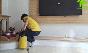 Dịch vụ diệt mối phường Diên Hồng – TpHCM