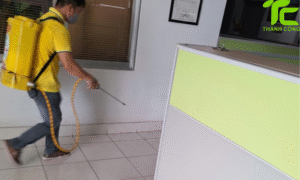 Dịch vụ diệt mối phường Tân Bình – TpHCM