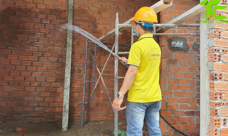 Dịch vụ diệt mối phường An Lạc – TpHCM