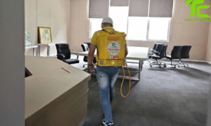 Dịch vụ diệt mối phường Tân Bình – TpHCM