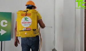 Dịch vụ diệt mối phường Tân Bình – TpHCM