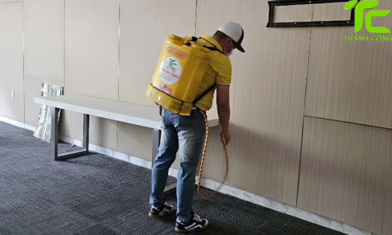 Dịch vụ diệt mối phường Tân Tạo – TpHCM