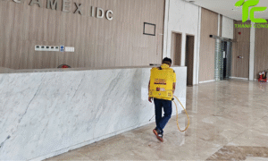 Dịch vụ diệt mối phường Tân Bình – TpHCM