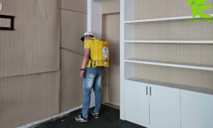 Dịch vụ diệt mối phường Tân Sơn – TpHCM