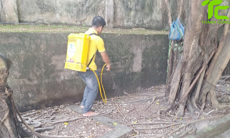 Dịch vụ diệt mối phường Tây Thạnh – TpHCM