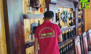 Dịch vụ diệt mối phường Phú Thọ Hòa – TpHCM