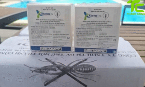 Dịch vụ diệt mối phường Tân Sơn – TpHCM