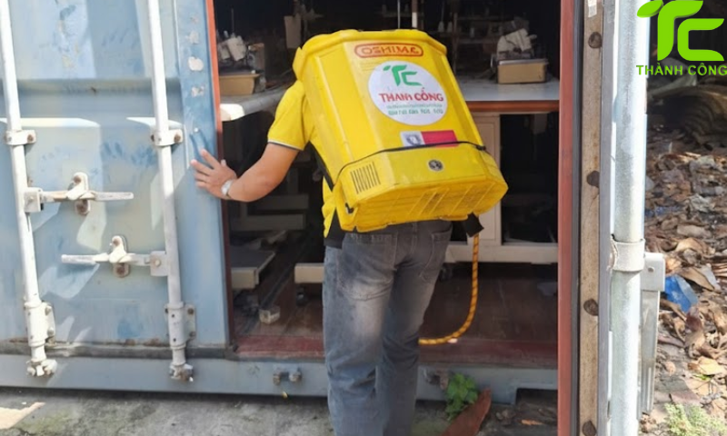 Dịch vụ diệt mối phường Tân Hòa – TpHCM