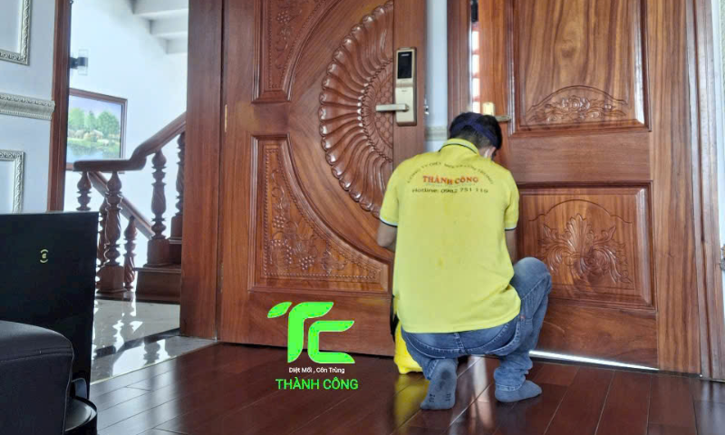 Dịch vụ diệt mối phường An Phú Đông – TpHCM