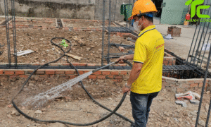 Dịch vụ diệt mối phường Tây Thạnh – TpHCM