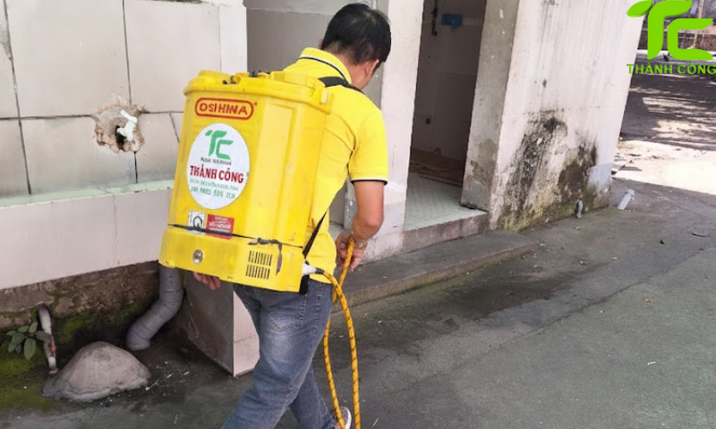 Dịch vụ diệt mối phường Cầu Kiệu – TpHCM