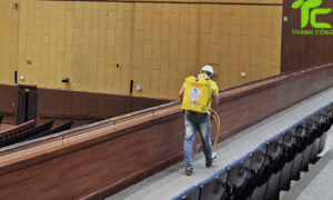 Dịch vụ diệt mối phường Tân Sơn Nhì – TpHCM