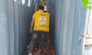 Dịch vụ diệt mối phường Tân Hòa – TpHCM