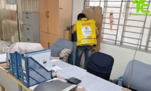 Dịch vụ diệt mối phường Bảy Hiền – TpHCM