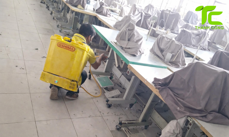 Dịch vụ diệt mối phường Hiệp Bình – TpHCM