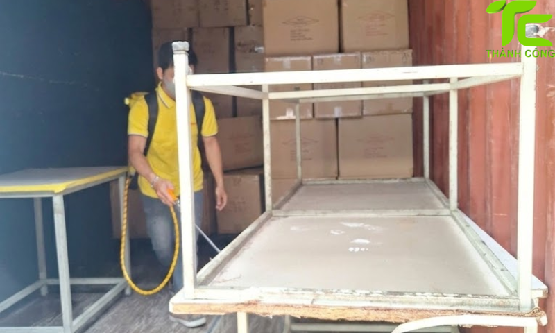 Dịch vụ diệt mối phường Tân Phú – TpHCM