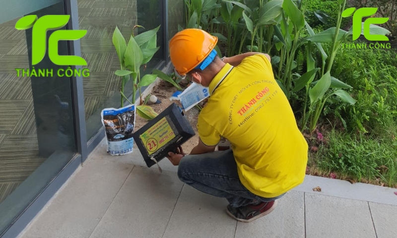 Cách phòng mối cho nhà gỗ