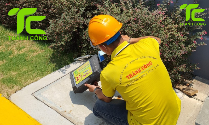 Xử lý mối cho nhà mới