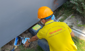 cách diệt mối trong nhà