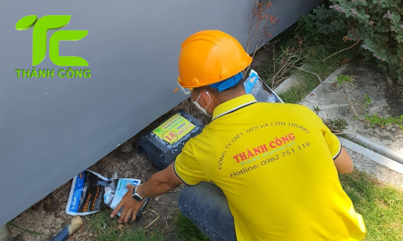 cách diệt mối trong nhà