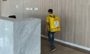 Diệt mối trong tường nhà
