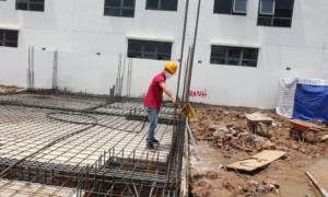 Cách diệt mối trong nhà