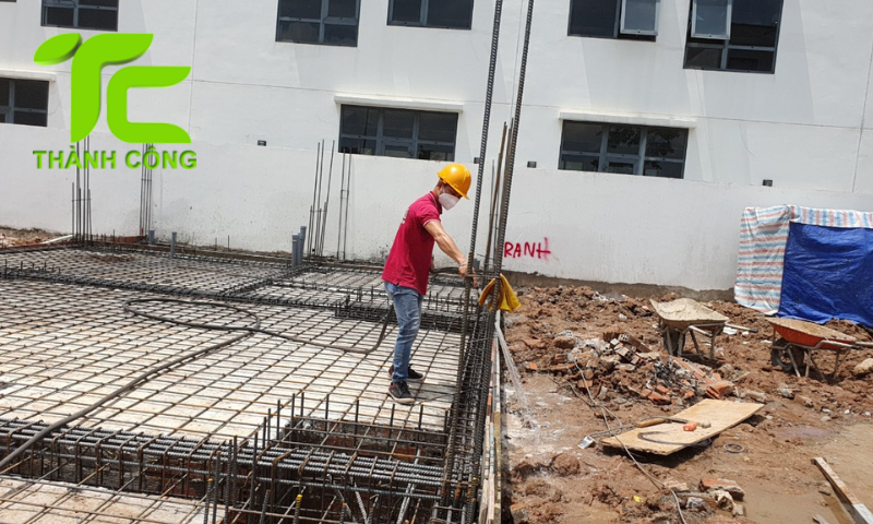 Cách phòng mối cho nhà mới