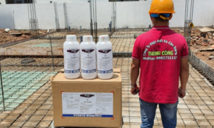 Xử lý chống mối trước xây dựng