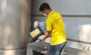 Cách ngăn mối làm tổ