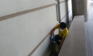 Diệt mối dưới nền nhà