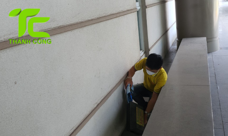 Diệt mối dưới nền nhà
