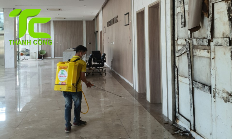 Chi phí chống mối công trình