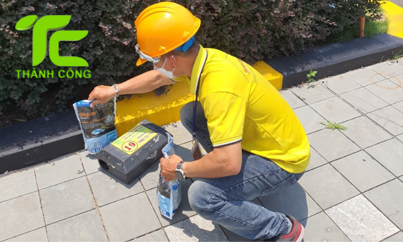 Chống mối nền nhà mới