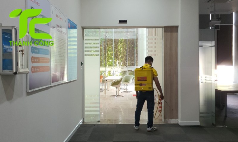 Những phương pháp diệt mối tận gốc tại nhà hiệu quả được nhiều người áp dụng 6 Diệt mối tận gốc tại nhà