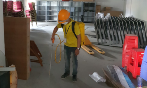 Chống mối cho công trình mới
