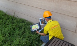 Diệt mối tận gốc tại nhà