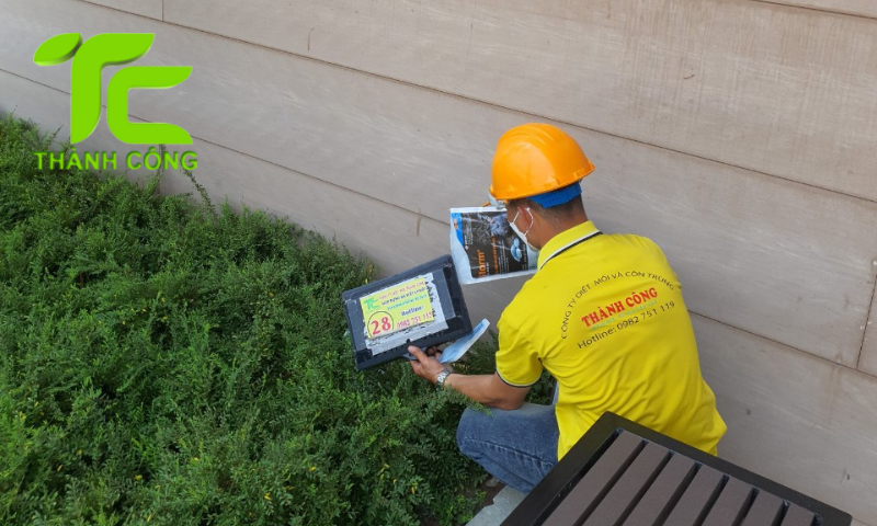 Diệt mối tận gốc tại nhà