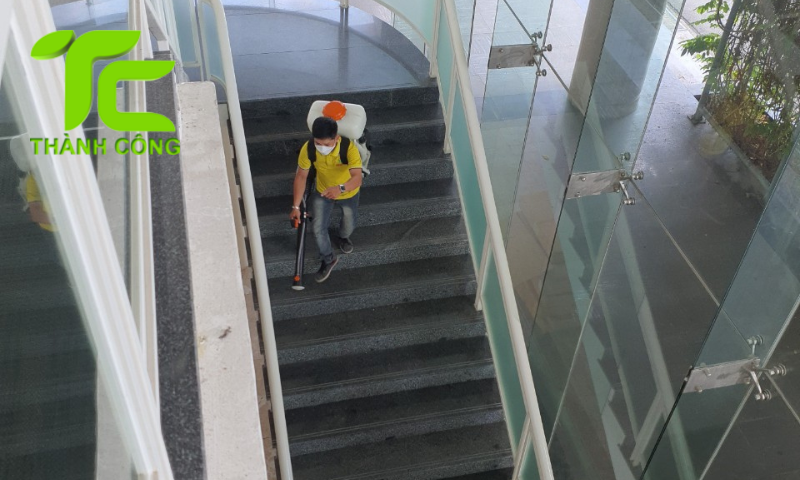 Những phương pháp diệt mối tận gốc tại nhà hiệu quả được nhiều người áp dụng 8 Diệt mối tận gốc tại nhà