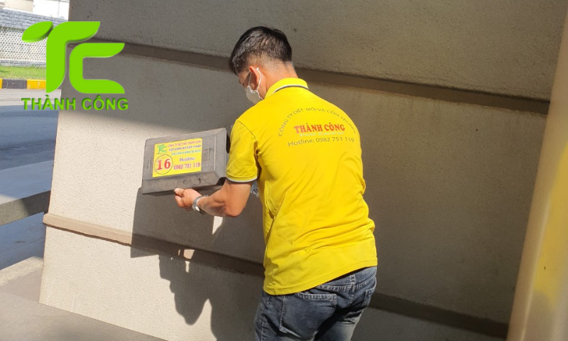 Những phương pháp diệt mối tận gốc tại nhà hiệu quả được nhiều người áp dụng 9 Diệt mối tận gốc tại nhà